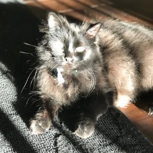 Meet your Posher, Bryce